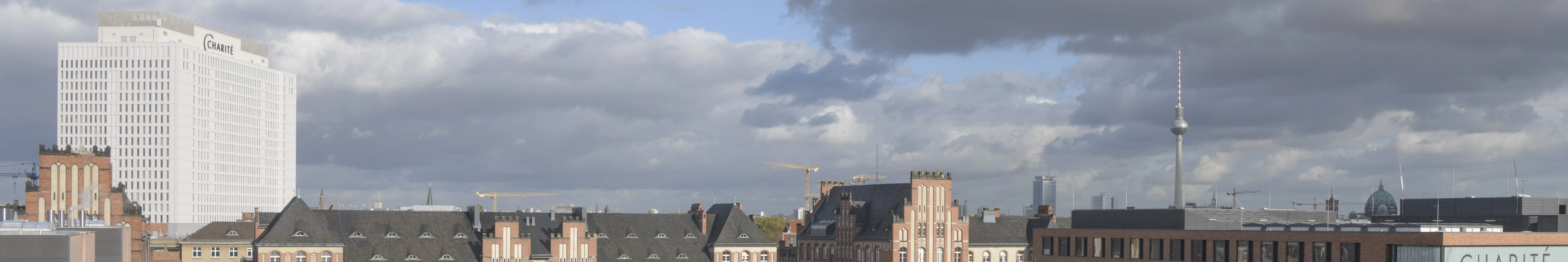 © Charité _ Wiebke Peitz